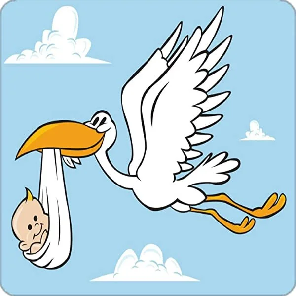 Assegno di natalità Anno 2026. Disposizioni in materia di contrasto allo spopolamento.