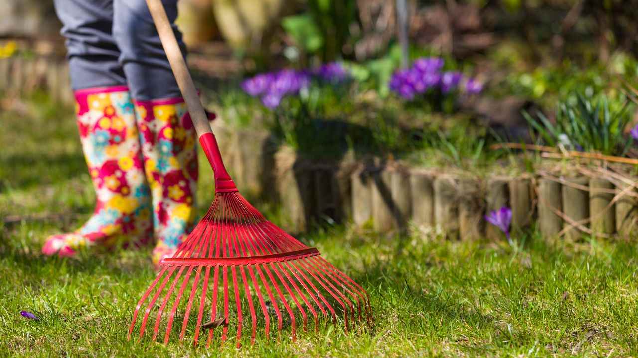 Ordinanza Pulizia terreni