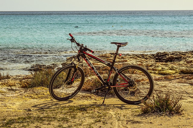 Posada Pedala