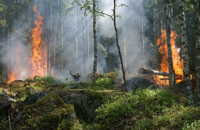 Bollettino di previsione  pericolo incendi del 26 Luglio 2021